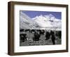 Yaks and Sherpas at the Foot of Himalayan Mountain Range-Michael Brown-Framed Photographic Print