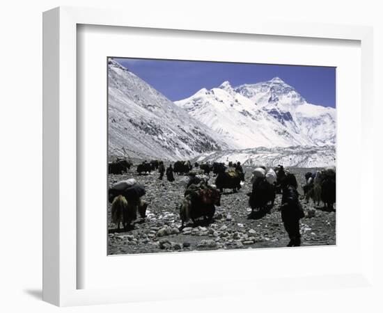 Yaks and Sherpas at the Foot of Himalayan Mountain Range-Michael Brown-Framed Photographic Print