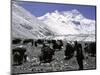 Yaks and Sherpas at the Foot of Himalayan Mountain Range-Michael Brown-Mounted Photographic Print