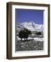 Yaks at Everest Base Camp, Tibet-Michael Brown-Framed Premium Photographic Print