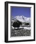 Yaks at Everest Base Camp, Tibet-Michael Brown-Framed Photographic Print