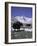 Yaks at Everest Base Camp, Tibet-Michael Brown-Framed Photographic Print