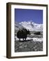 Yaks at Everest Base Camp, Tibet-Michael Brown-Framed Photographic Print