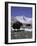 Yaks at Everest Base Camp, Tibet-Michael Brown-Framed Photographic Print