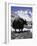 Yaks at Everest Base Camp, Tibet-Michael Brown-Framed Photographic Print