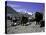 Yaks at the Base Camp of the Everest North Side, Tibet-Michael Brown-Stretched Canvas