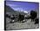 Yaks at the Base Camp of the Everest North Side, Tibet-Michael Brown-Framed Stretched Canvas