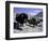 Yaks at the Base Camp of the Everest North Side, Tibet-Michael Brown-Framed Photographic Print