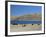 Yaks Graze by Yamdrok Lake Beside Old Lhasa-Shigatse Road, Tibet, China-Tony Waltham-Framed Photographic Print