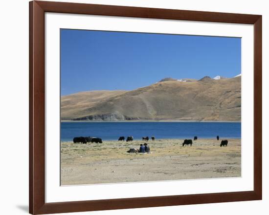 Yaks Graze by Yamdrok Lake Beside Old Lhasa-Shigatse Road, Tibet, China-Tony Waltham-Framed Photographic Print