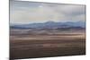 Yaks Grazing on the Vast Open Rangelands on the Edge of the Tibetan Plateau in Sichuan Province-Alex Treadway-Mounted Photographic Print