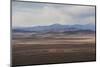 Yaks Grazing on the Vast Open Rangelands on the Edge of the Tibetan Plateau in Sichuan Province-Alex Treadway-Mounted Photographic Print