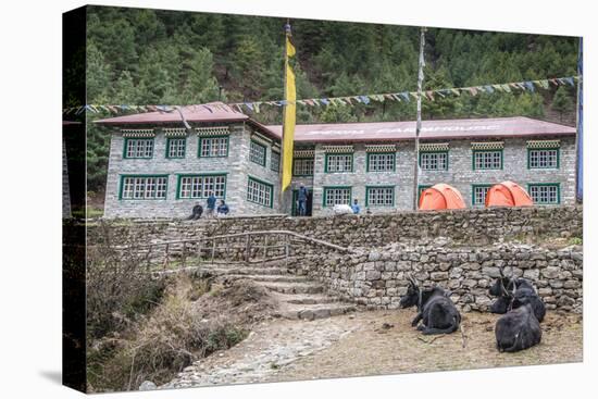 Yaks in front of teahouse, Nepal.-Lee Klopfer-Stretched Canvas