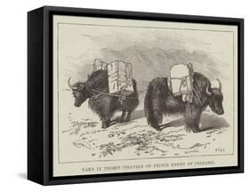 Yaks in Thibet, Travels of Prince Henry of Orleans-null-Framed Stretched Canvas