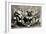 Yale Baseball Team, 1901-null-Framed Giclee Print