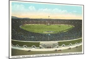 Yale Bowl, New Haven, Connecticut-null-Mounted Art Print