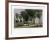 Yale College, New Haven, Connecticut, USA, 1838-J Sands-Framed Giclee Print