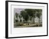 Yale College, New Haven, Connecticut, USA, 1838-J Sands-Framed Premium Giclee Print