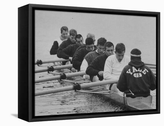 Yale Crew Rowing During Training-null-Framed Stretched Canvas