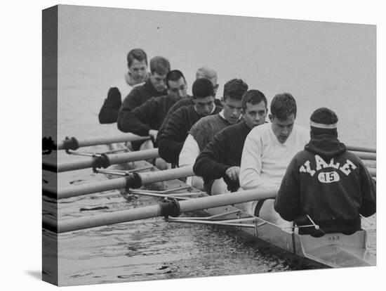 Yale Crew Rowing During Training-null-Stretched Canvas