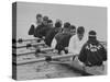 Yale Crew Rowing During Training-null-Stretched Canvas