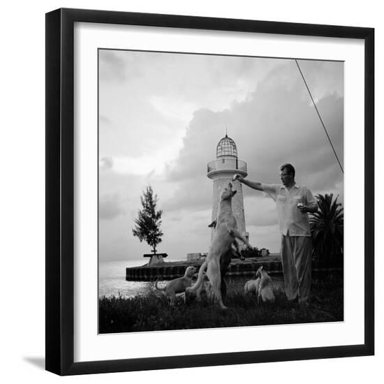 Photographic Print, , large