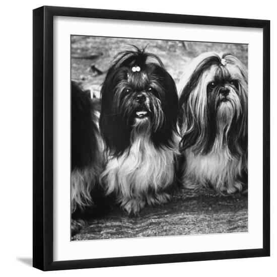 Photographic Print, , large