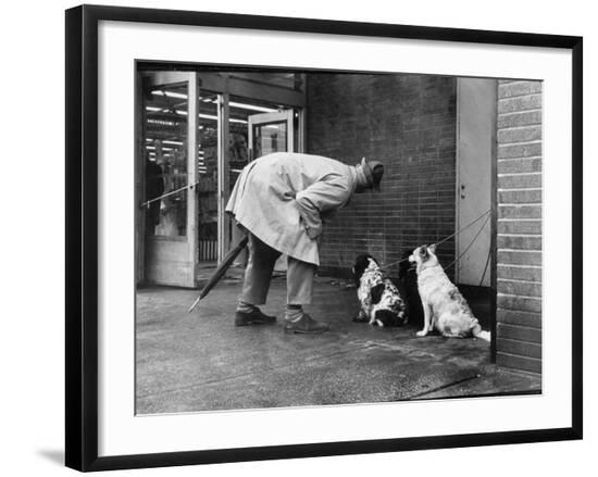 Premium Photographic Print, , large