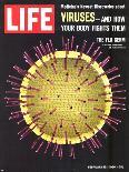 Viruses, Model of Flu Virus, February 18, 1966-Yale Joel-Photographic Print