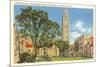 Yale University, New Haven, Connecticut-null-Mounted Premium Giclee Print