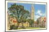 Yale University, New Haven, Connecticut-null-Mounted Art Print