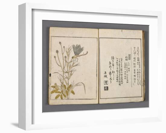 Yama no seki-null-Framed Giclee Print