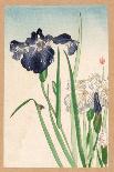 Japanese Irises-Yamagishi-Stretched Canvas