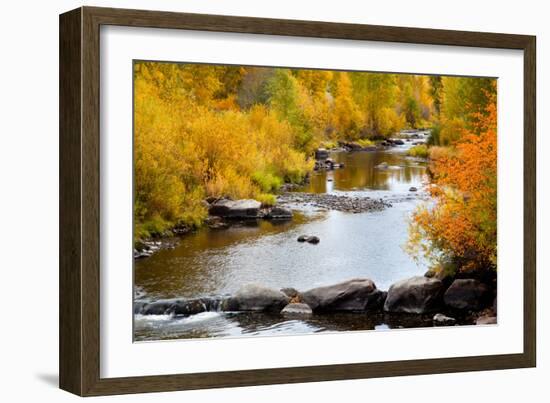 Yampa River in autumn.-Larry Ditto-Framed Photographic Print