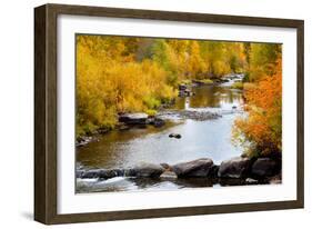 Yampa River in autumn.-Larry Ditto-Framed Photographic Print