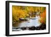 Yampa River in autumn.-Larry Ditto-Framed Photographic Print