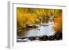 Yampa River in autumn.-Larry Ditto-Framed Photographic Print