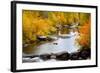 Yampa River in autumn.-Larry Ditto-Framed Photographic Print