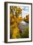 Yampa River in autumn.-Larry Ditto-Framed Photographic Print