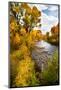 Yampa River in autumn.-Larry Ditto-Mounted Photographic Print