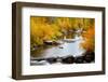 Yampa River in autumn.-Larry Ditto-Framed Photographic Print