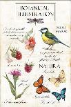 Hand Drawn Botanical Illustration in Vintage Style.Vector Set of Watercolor Hand Drawn Berries, Her-Yana Fefelova-Framed Art Print