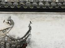 Birds on tiled roof in Xidi, China-Yang Liu-Photographic Print