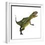 Yangchuanosaurus, a Theropod Dinosaur from the Jurassic Period-null-Framed Premium Giclee Print