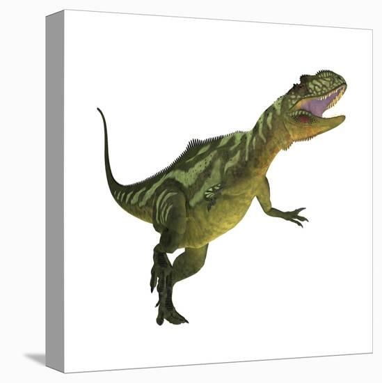 Yangchuanosaurus, a Theropod Dinosaur from the Jurassic Period-null-Stretched Canvas