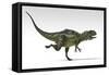 Yangchuanosaurus, Dinosaur, White Background-null-Framed Stretched Canvas
