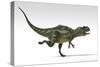 Yangchuanosaurus, Dinosaur, White Background-null-Stretched Canvas