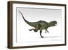 Yangchuanosaurus, Dinosaur, White Background-null-Framed Art Print