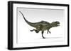 Yangchuanosaurus, Dinosaur, White Background-null-Framed Art Print