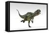 Yangchuanosaurus, Dinosaur, White Background-null-Framed Stretched Canvas